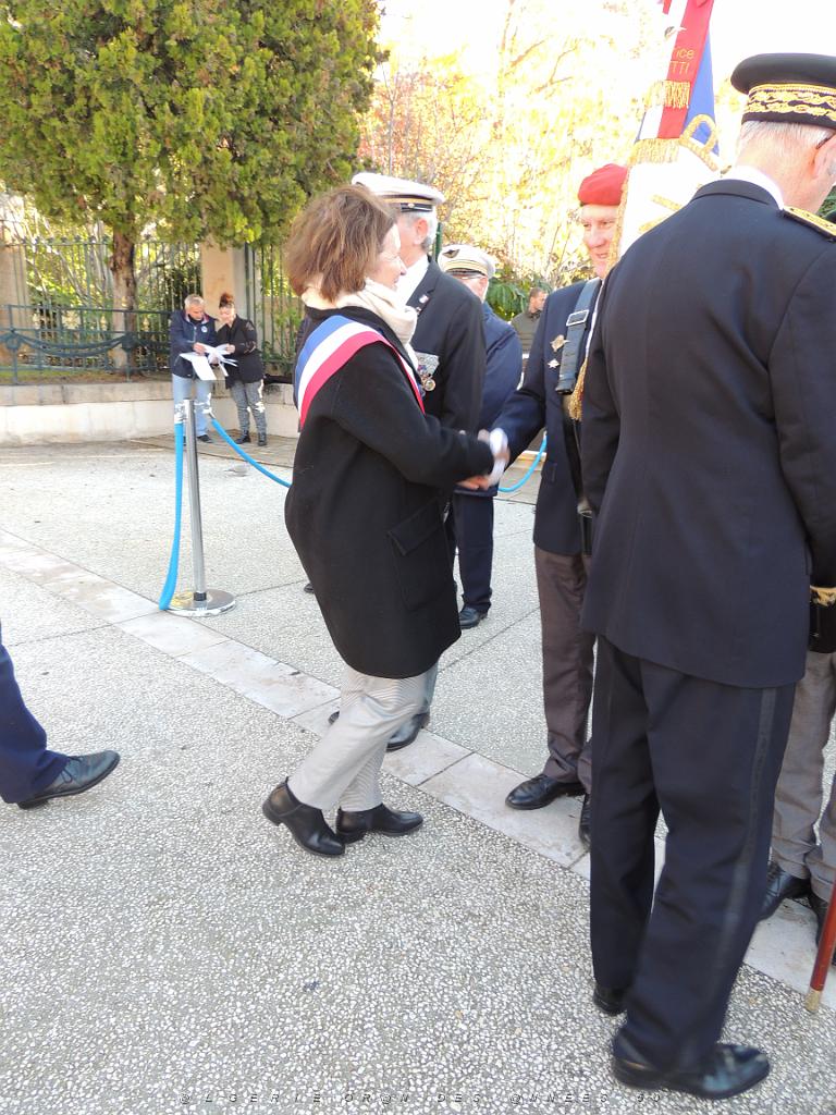 2022 12 05 TOULON HOMMAGE AUX MORTS POUR LA FRANCE EN AFN (74).JPG -           